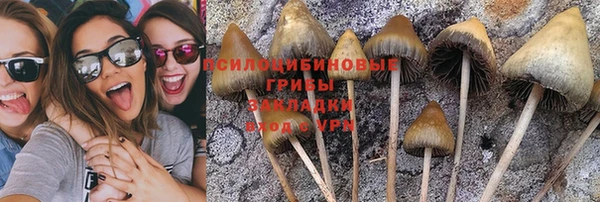героин Алексин