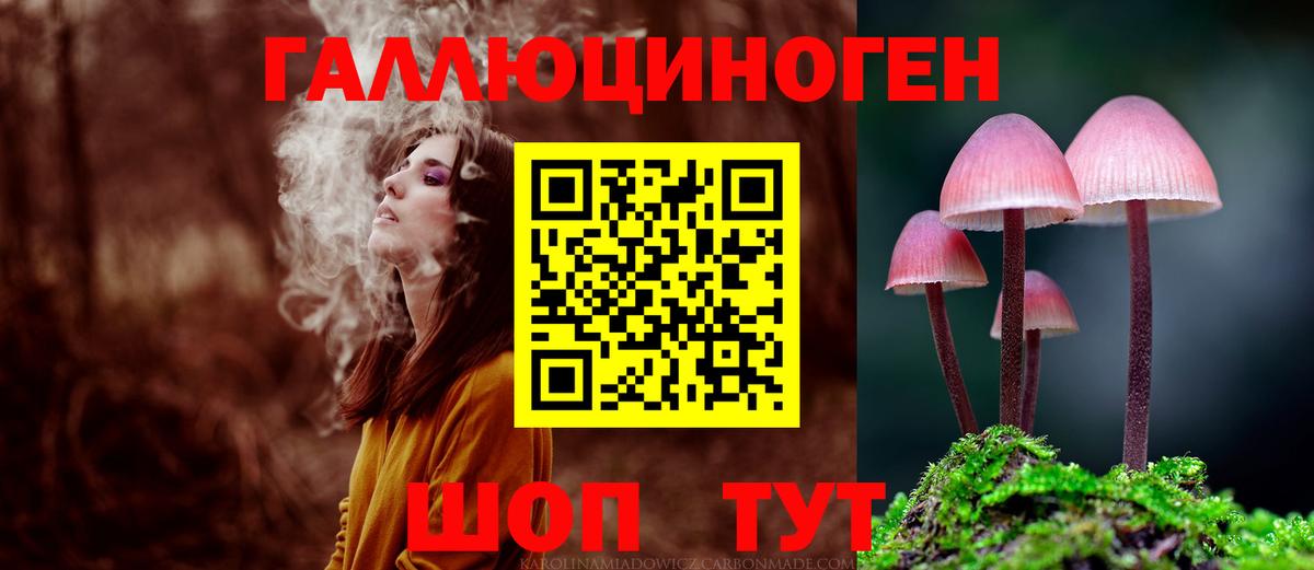 Псилоцибиновые грибы MAGIC MUSHROOMS  Вход с VPN  Клин 