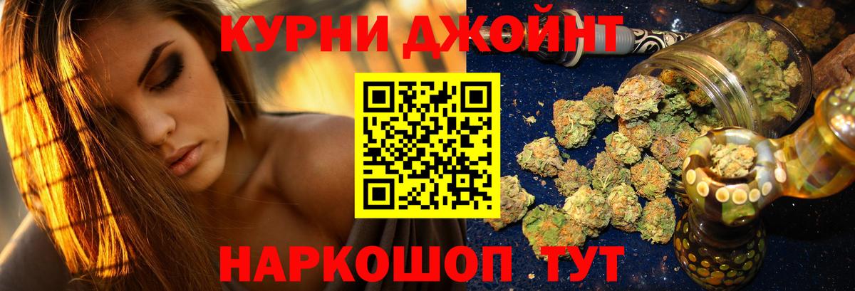 Каннабис OG Kush Клин